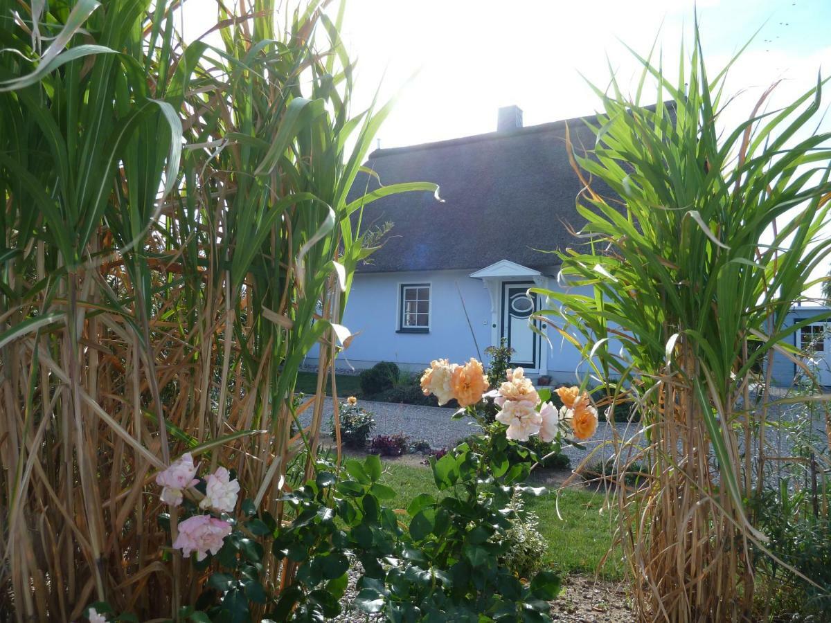 Ferienhaeuser Salzhaff-Romantik Tessmannsdorf Exterior photo